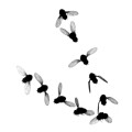 Fotomontage des Flug einer Taufliege - aufgenommen mit 7500 Bildern pro Sekunde.