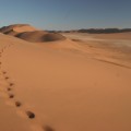 In der Wüste Namib gibt es Sandkörner, die über eine Million Jahre alt sind