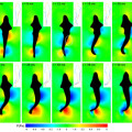 Die Forscher analysierten die Druckverteilung um einen Zebrabärbling (Danio rerio) während eines Schlags mit der Schwanzflosse. Die Aufnahmen zeigen Zonen hohen Drucks in Rot und Zonen mit niedrigem Druck in Blau zu verschiedenen Zeitpunkten. 